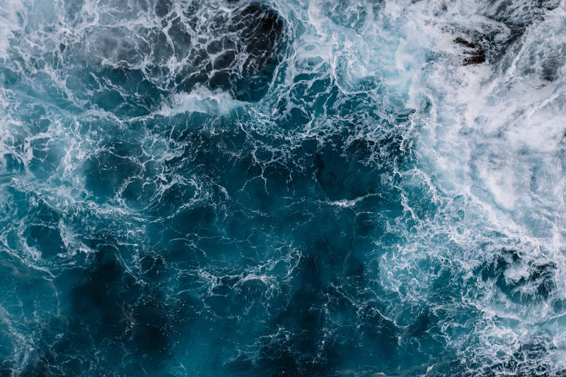 Here's How to Help Save the Ocean Every Day
