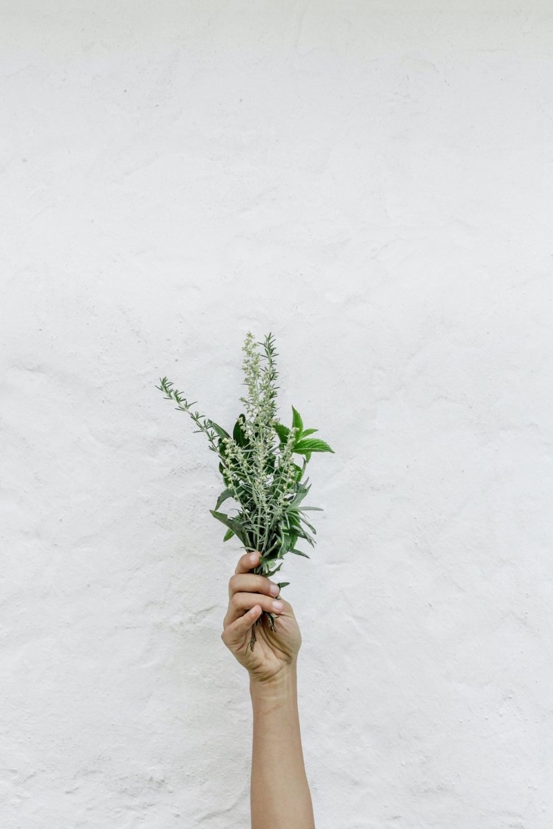 How to Create Your Own Home Apothecary