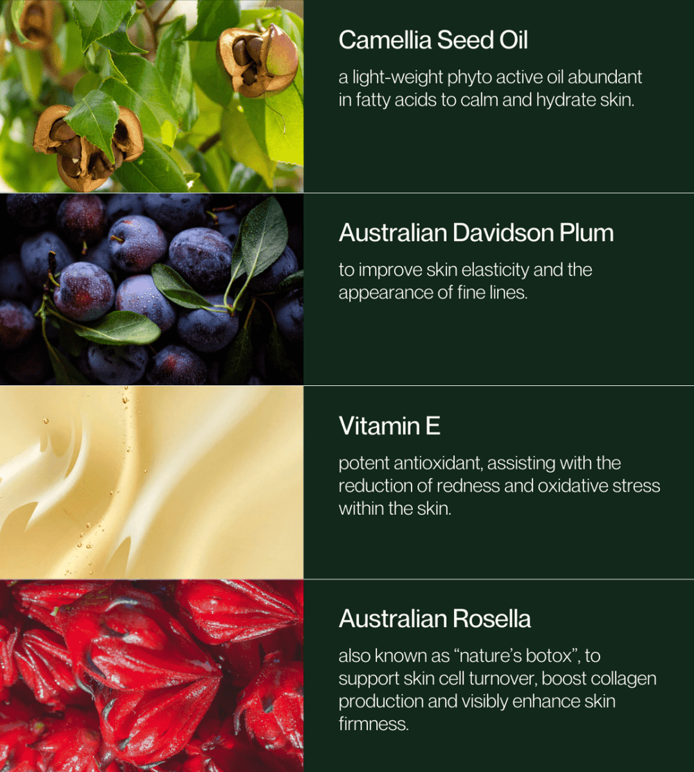 No.4 Vanilla Silk Hydrating Lotion - NC